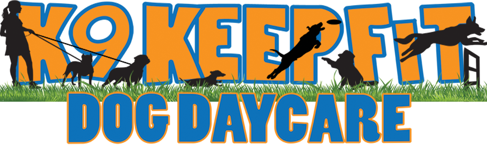 science diet urinary care cat